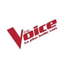 The Voice : la plus belle voix net worth