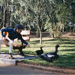 Flerte Flamingo - Topic