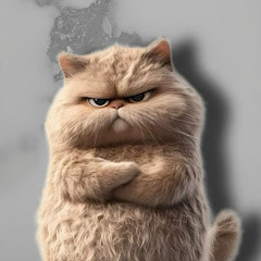 The Cat Funnyアイコン画像