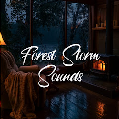 Forest Storm Sounds