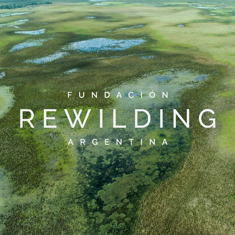 Fundación Rewilding Argentina