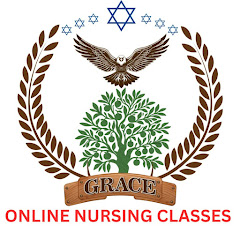 Online Nursing Classes net worth