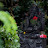 @dstatus3305 Avatar