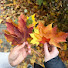 H5zU_vvaBDs-channel-avatar-MOMO...