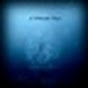 Winternight Visage Avatar