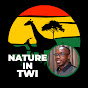 Nature in Twi logo