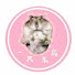 Kxz2bLowcTs-channel-avatar-一只笨鼠