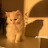 @MariemAbdala-u8y7p