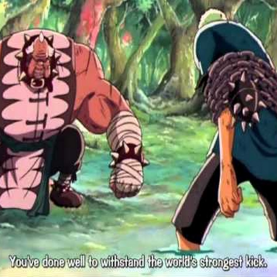 2002 One Piece: Chopper's Kingdom On The Island Of Strange Animals