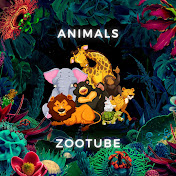 Animals Zootube