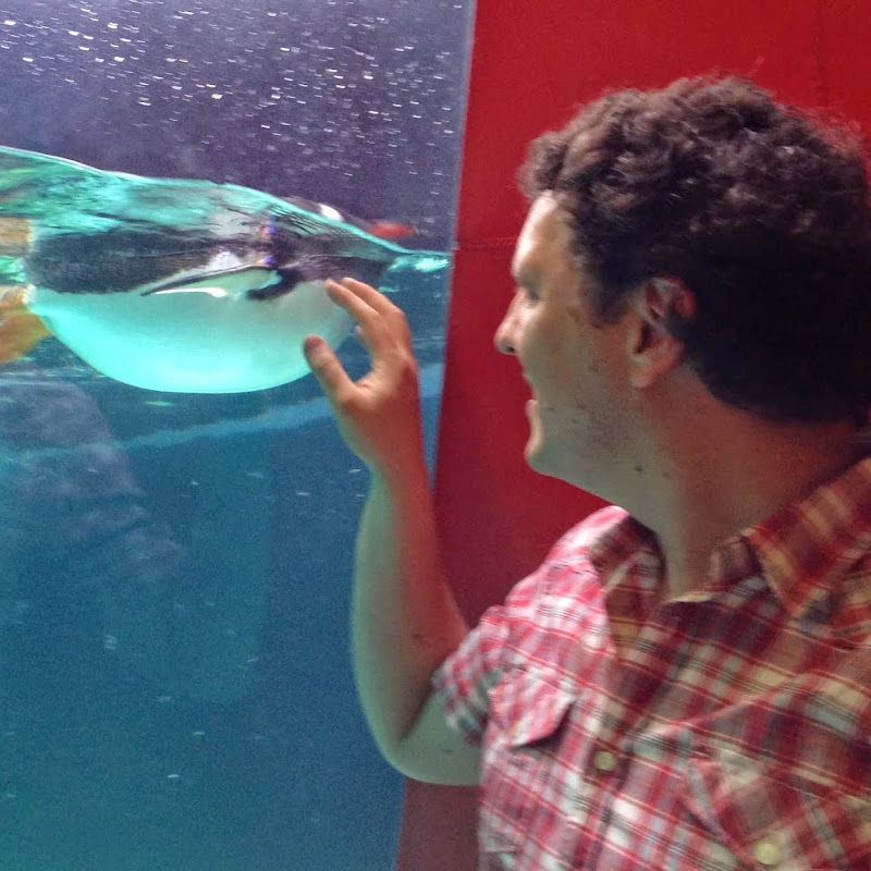 Amazing Australia Adventures