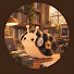 C45hPFiBq2g-channel-avatar-연체동물