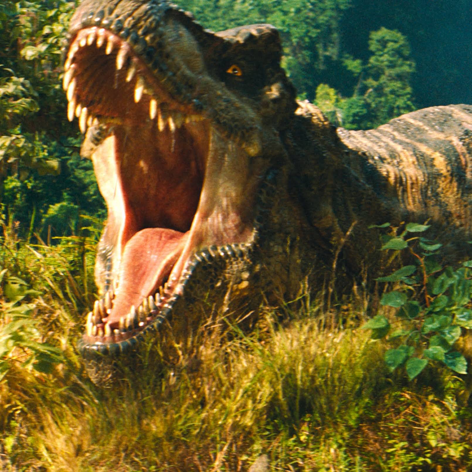 Post from Mega T rex animations