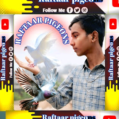 Raftaar Pigeons 786