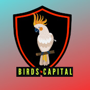 Birds Capital