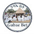 PENBeakkb0o-channel-avatar-ጉባኤ ቤት-Gubae Bet and መጋቢ ሚዲያ | MEGABI MEDIA