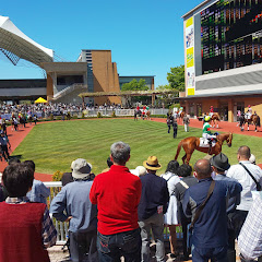 競馬場現地撮影アイコン画像