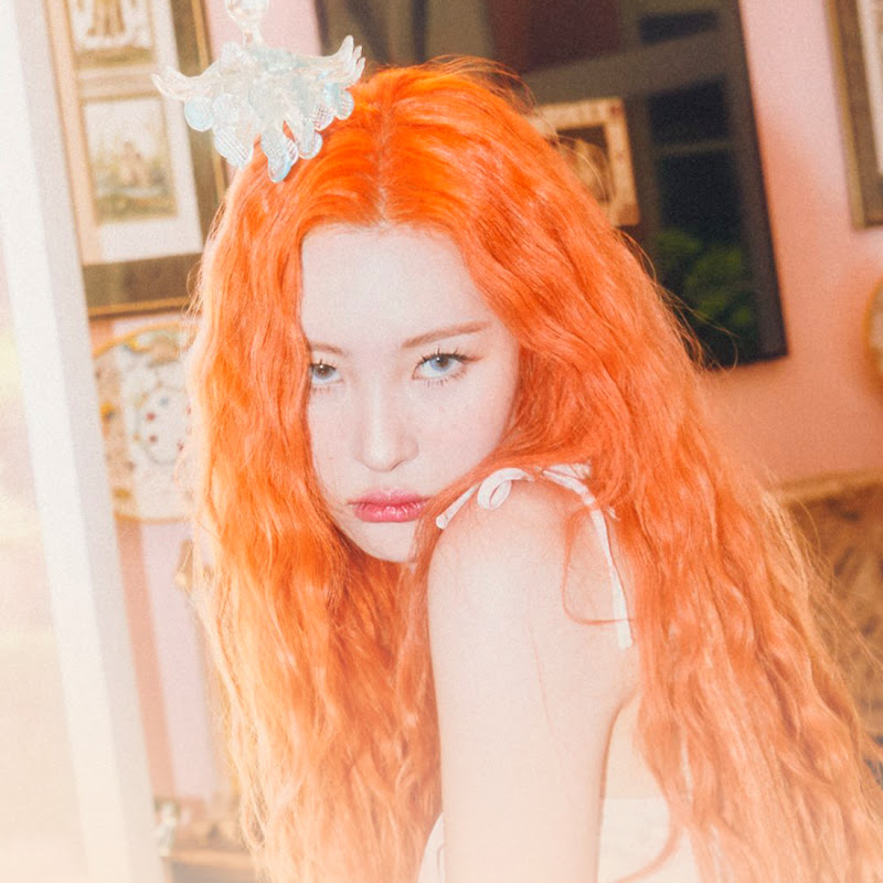 Profile Banner of The SUNMI Stats