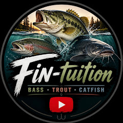 Fin-tuition