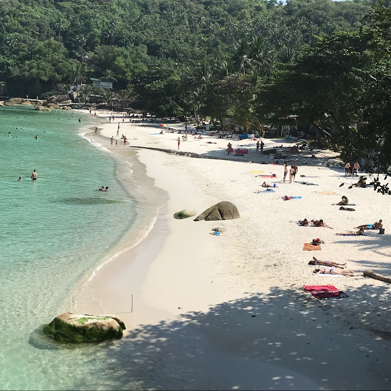 Dave’s Samui Life