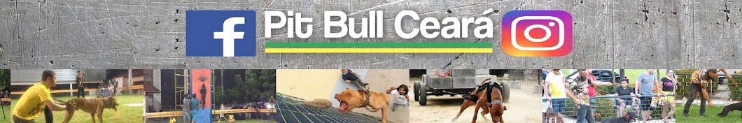 Pit Bull CearÃ¡ Avatar canale YouTube 