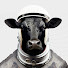 8pLb28wUZyU-channel-avatar-Beef Podcasts • by Wisenetix