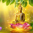 zeKtrBLRXA8-channel-avatar-เส้นทางบุญ288-5