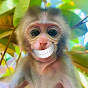 Monkey Baby Ken logo