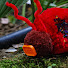 mE6q5EmXemE-channel-avatar-TheBusyBeeSews