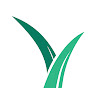 Life Church Buffalo logo