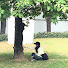 1ANt4UyDwvg-channel-avatar-Yomi - Daily life in China