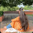@Minakshi_kumari3
