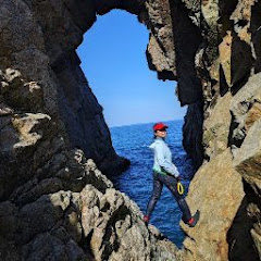 Rini Lexusアイコン画像