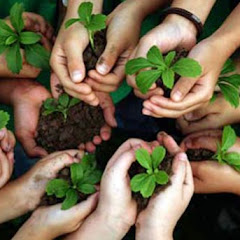 Green Project