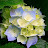 @peacemaker9626