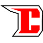 Cardnatics logo
