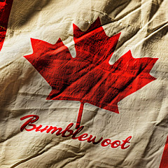 Bumblewoot net worth