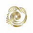 Pjo9IxytRW4-channel-avatar-IN DIE GENE