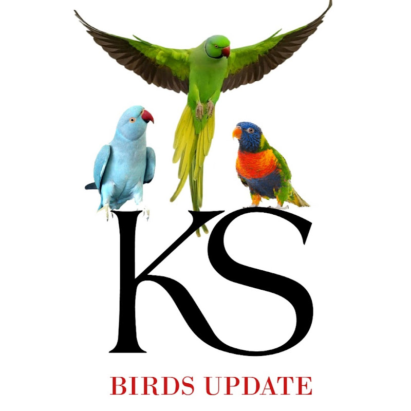 Ks birds update