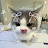 @PisicutaCat Avatar