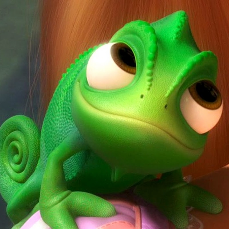 gecko