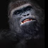NtDULSFsmkY-channel-avatar-The BingeWatch Plug