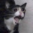 @왈왈왈-t9i