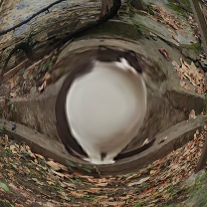 fatCat