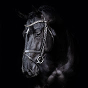 Black Equine