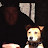 @JimmyEstrada-i2y Avatar