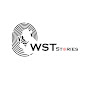 WTS -STORIES logo