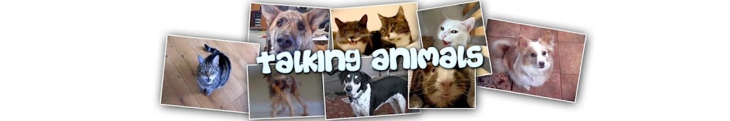 Talking Animals YouTube channel avatar