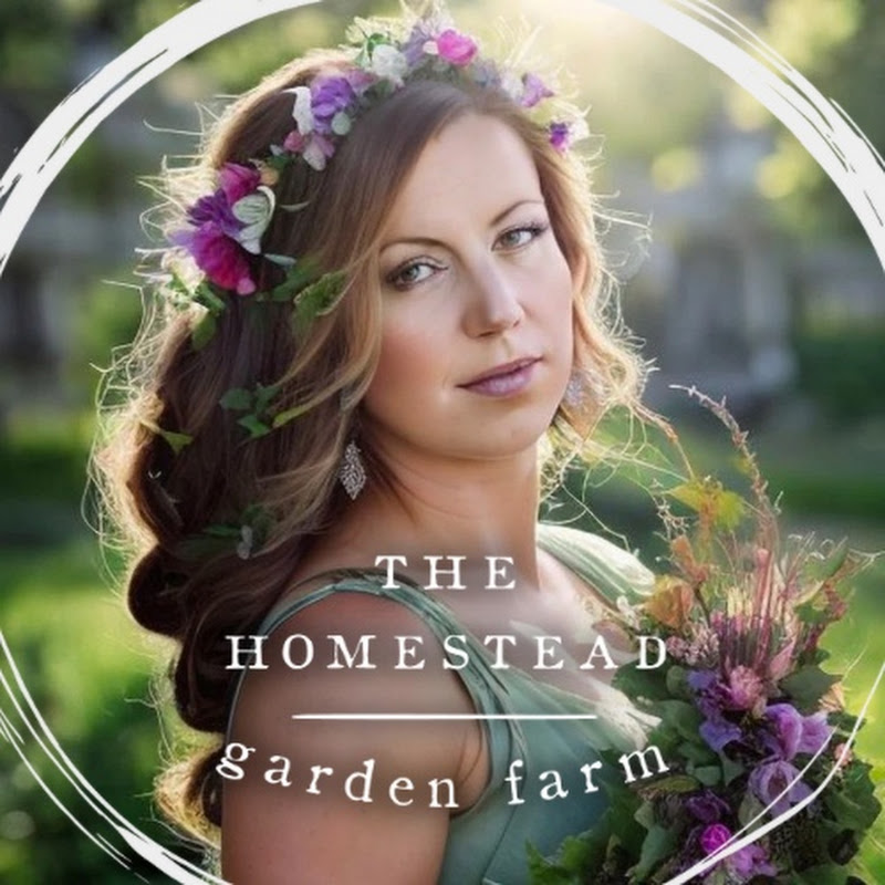 Lacy  |  Homestead Garden Farm