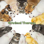Animal Therapy logo